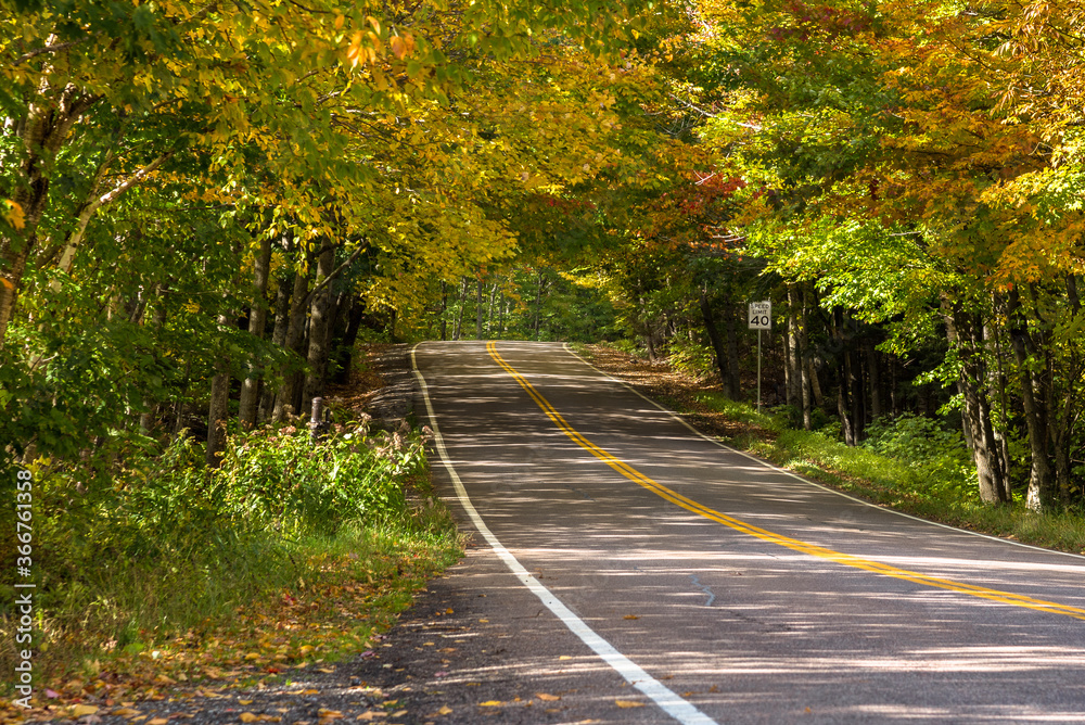 Naklejka premium Empty mountain road through a thick deciduous forest. Stowe, VT, USA.