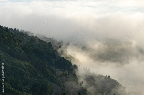 clouds break over green rainforest in Yuanyang County, Yunnan, China, foggy morning in Chinese mountains, 