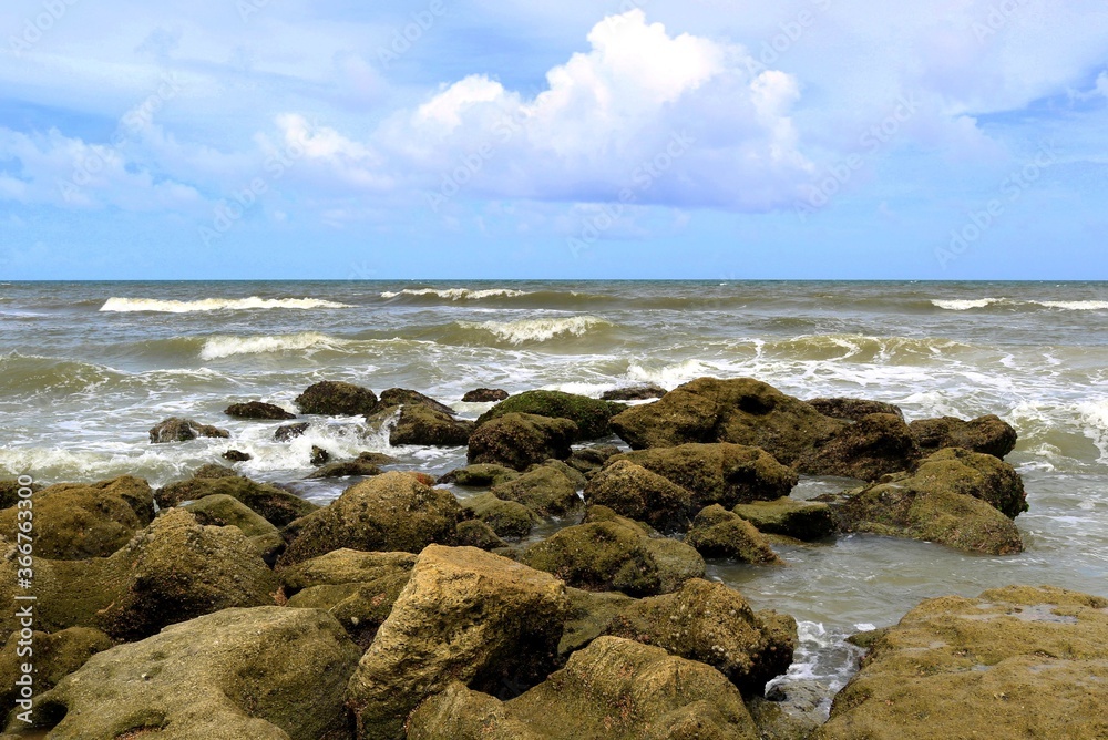 Rocky shore, Marineland, Florida