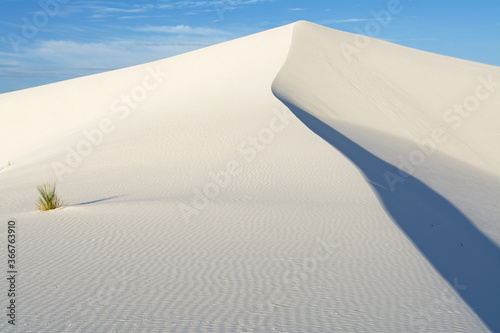 Serene morning in the white desert. Wind has created art.