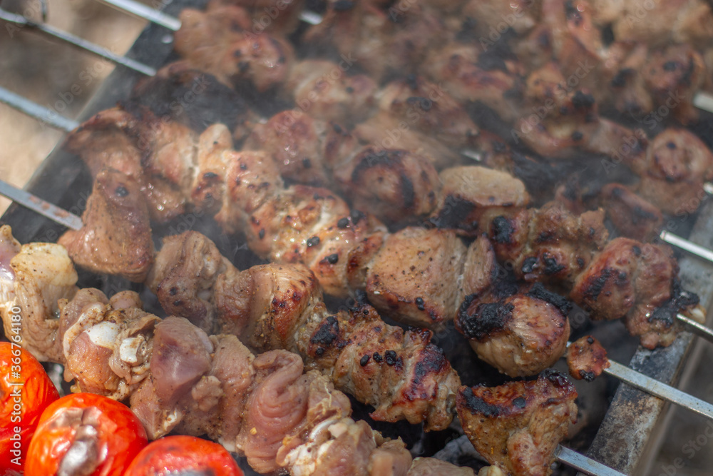 Roast meat in nature