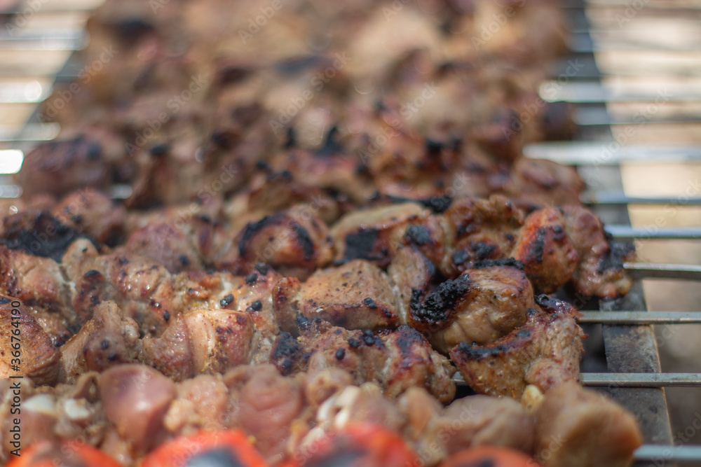 Roast meat in nature