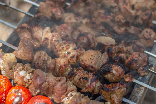 Obraz na płótnie Roast meat in nature w salonie