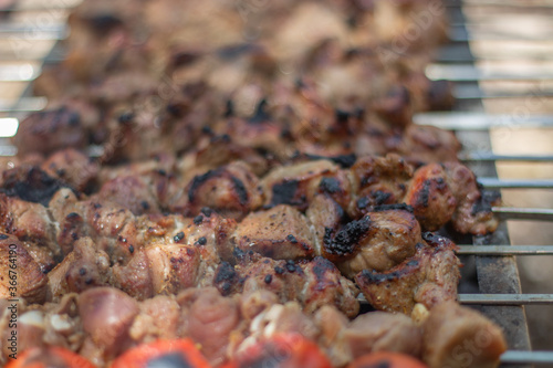 Obraz na płótnie Roast meat in nature w salonie