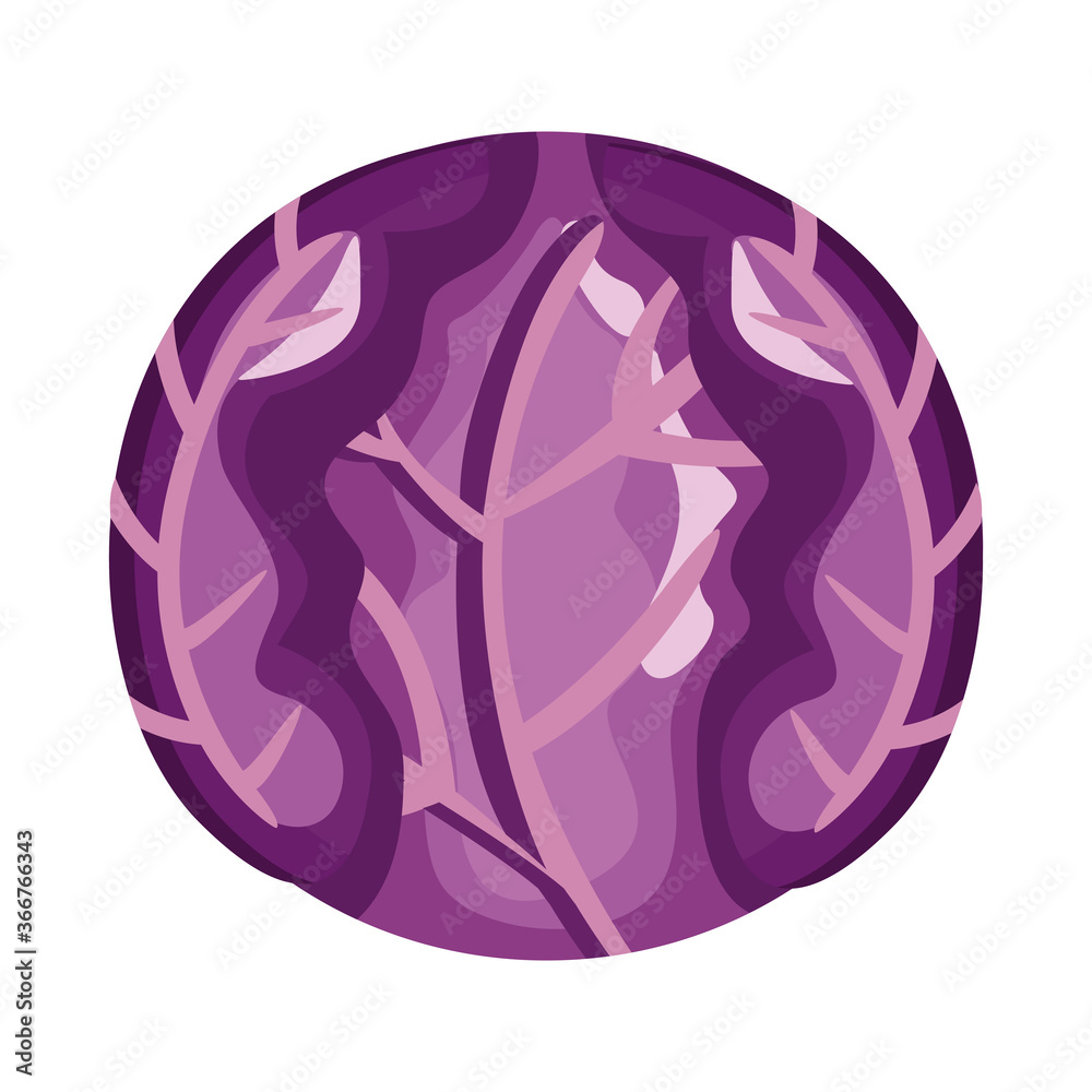 red cabbage healthy vegetable detailed style icon