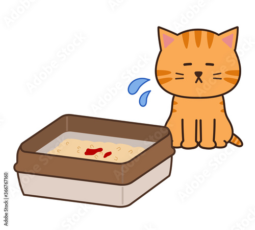 Tabby cat worry about pissing blood into litter box. Vector illustration isolated on white background.