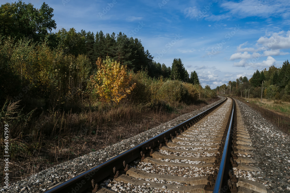 Fototapeta premium Railway among the forest under the blue sky