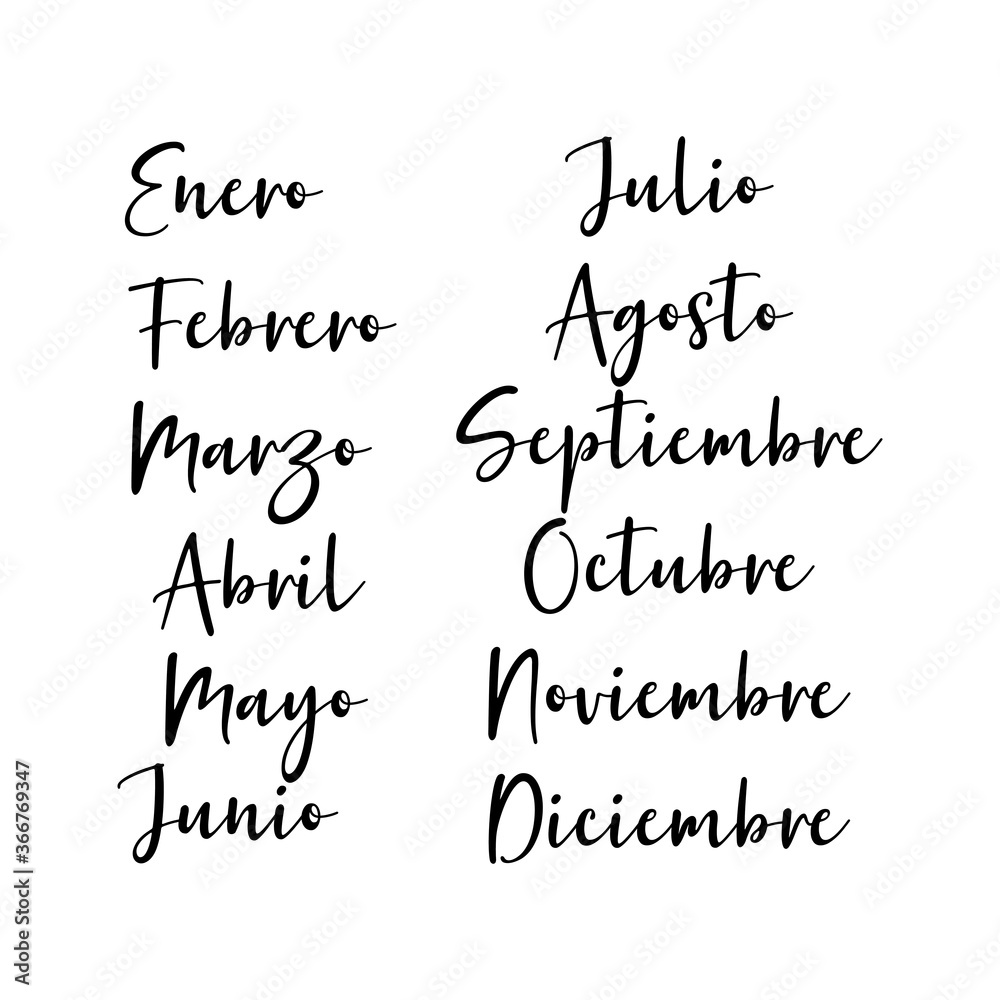 Hand Lettered Months of the Year in Spanish. Lettering for Calendar, Organizer, Planner.
