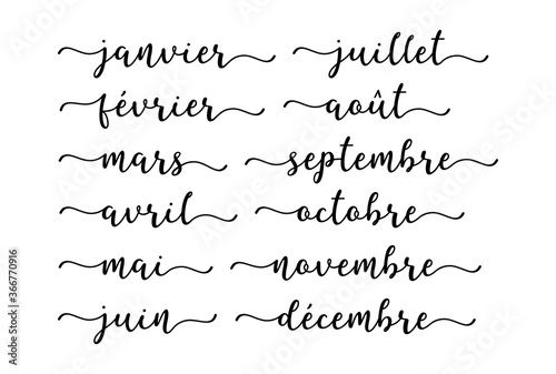 Mois écrits à la main de l'année. Janvier, Février, Mars, Avril, Mai, Juin, Juillet, Août, Septembre, Octobre, Novembre, Décembre. Lettering pour calendrier, organisateur, planificateur