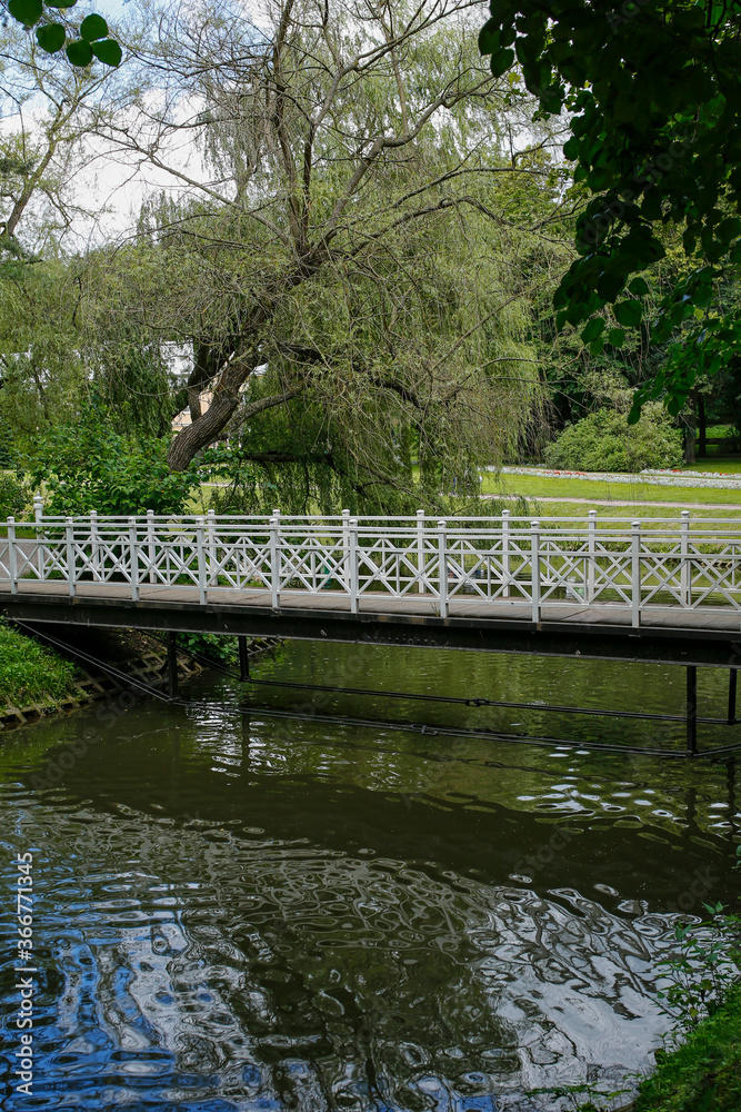 Fototapeta premium romantic bridge over pond in Spa park in Naleczow, Poland