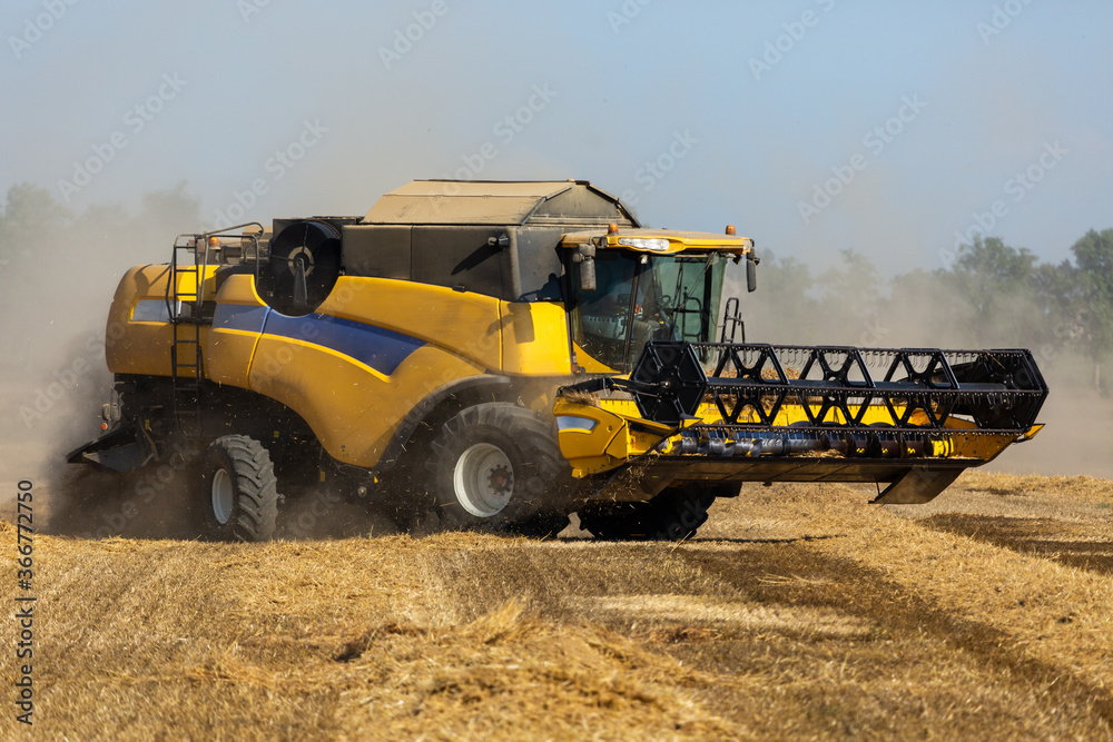 Obraz premium Trebbiatura grano