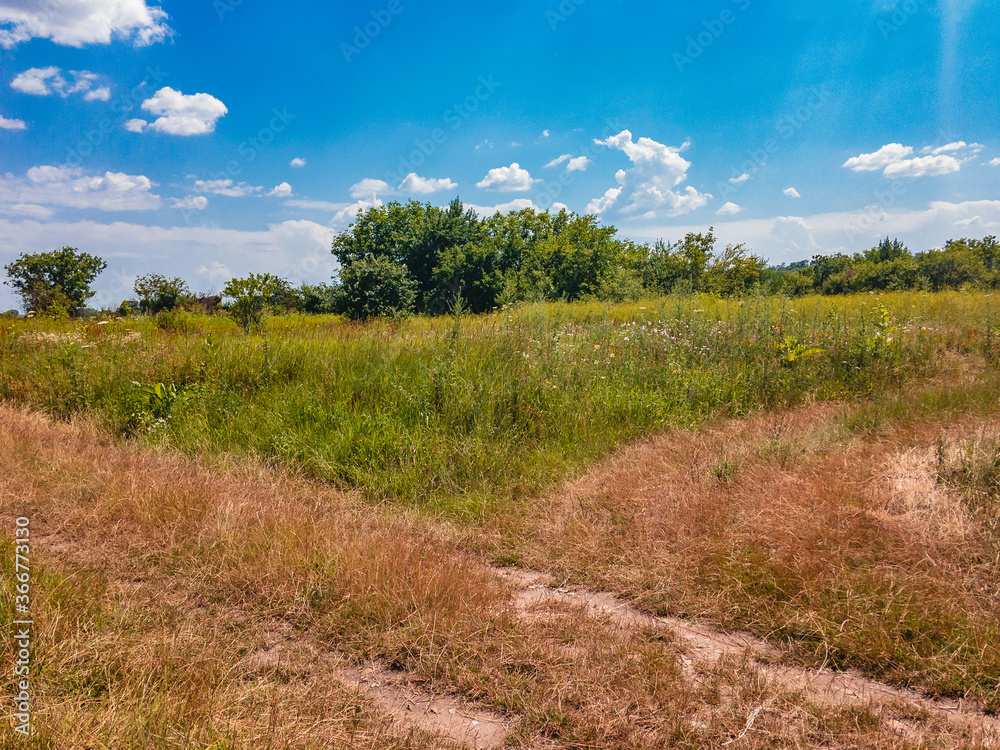 Two diverging roads in a meadow grass field on a sunny summer day with a blue sky with white clouds.