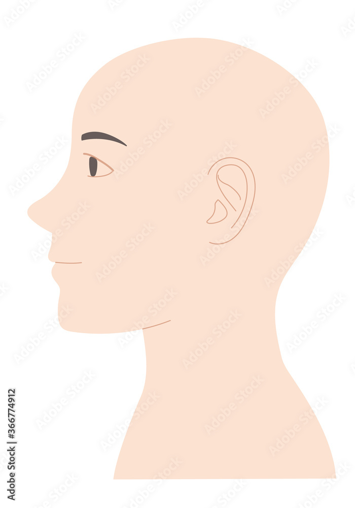 Mannequin of skinhead woman face without main lines. Vector illustration isolated on white background.