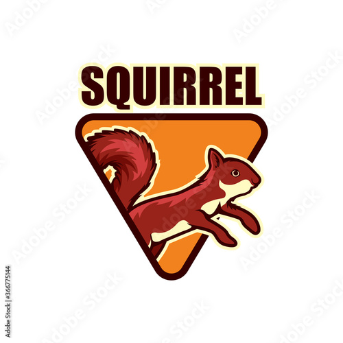 squirrel logo isolated on white background vector illustration