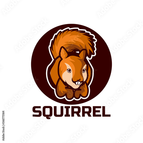squirrel logo isolated on white background vector illustration