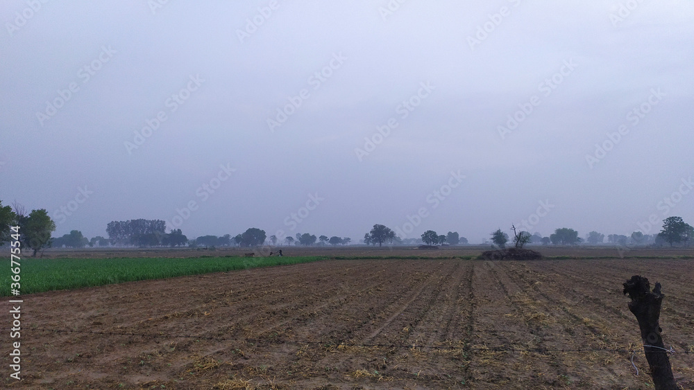 Morning view of a field ready for sowing