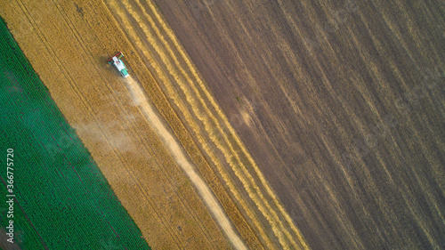 Aerial view of wheat harvest. Drone shot flying over three combine harvesters working on wheat field