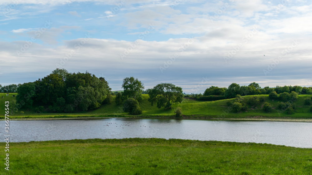 summer landscape with lake