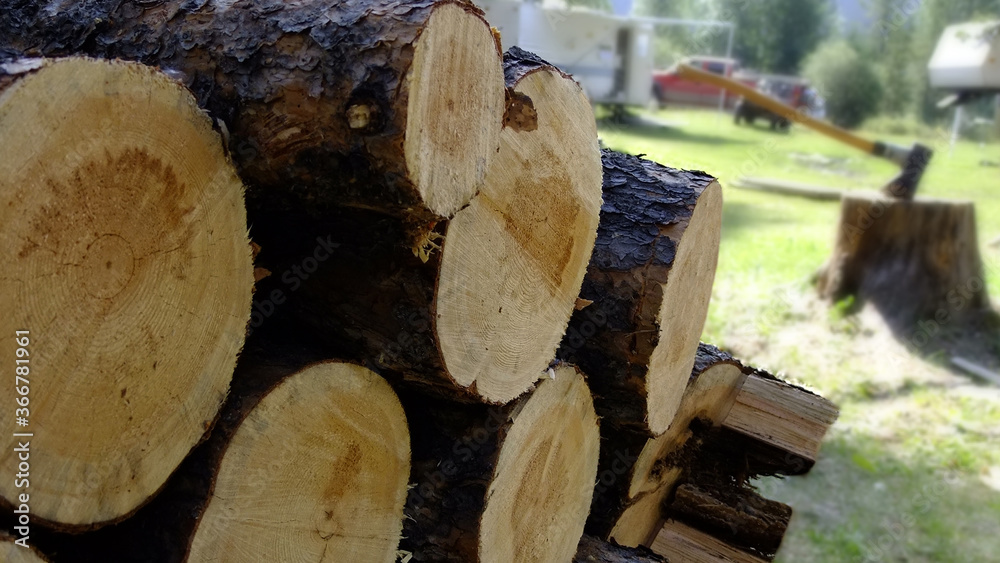Stack of Axe Chopped Firewood in Forest Campground Background Setting