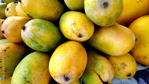 Photography Heap of fresh ripe mangoes at market for sell