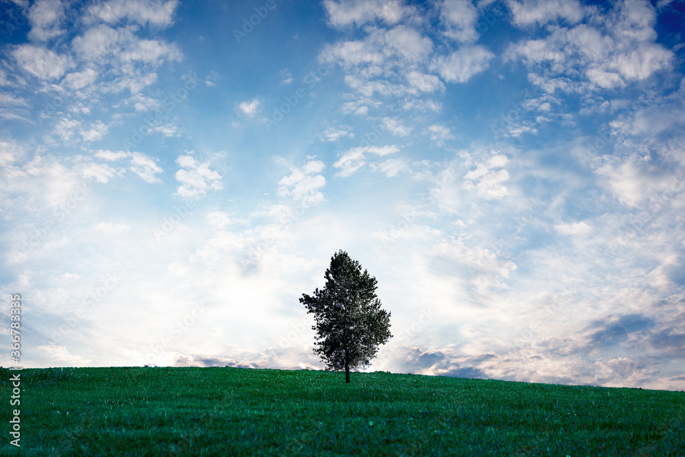 Obraz premium 草原