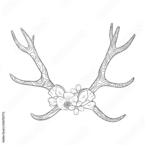 Black and white boho deer horns coloring book