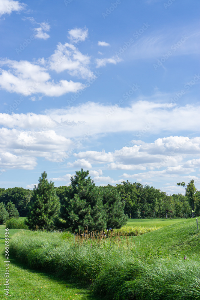 Landscape of green grass and blue sky. Captured at Mezhyhirya village, near Kiev city, Ukraine Landscape of green grass and blue sky. Captured at Mezhyhirya village, near Kiev city, Ukraine
