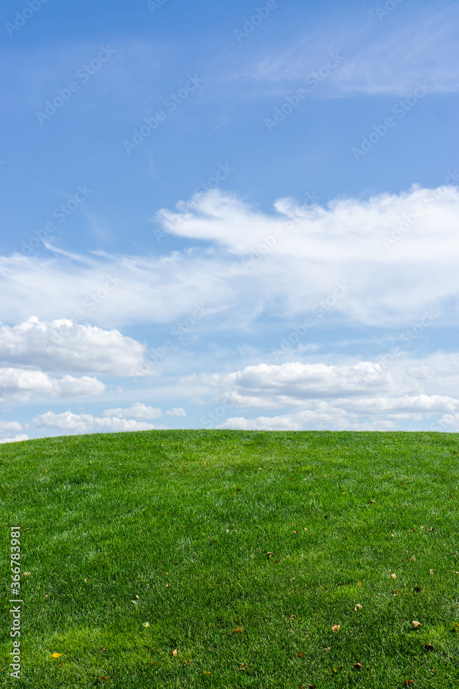 Landscape of green grass and blue sky. Captured at Mezhyhirya village, near Kiev city, Ukraine