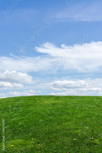 Landscape of green grass and blue sky. Captured at Mezhyhirya village  near Kiev city  Ukraine