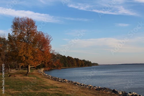 autumn landscape with lake