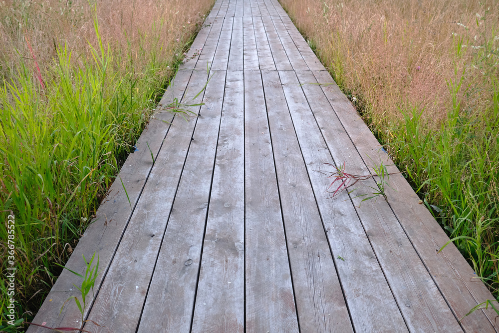 Wooden pathway through the grass. Wooden boardwalk. Perspective, Low angle view.