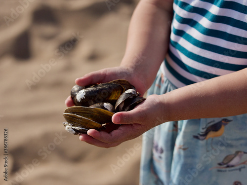 Sea shells in girls hands. Summer background with sand and shells 