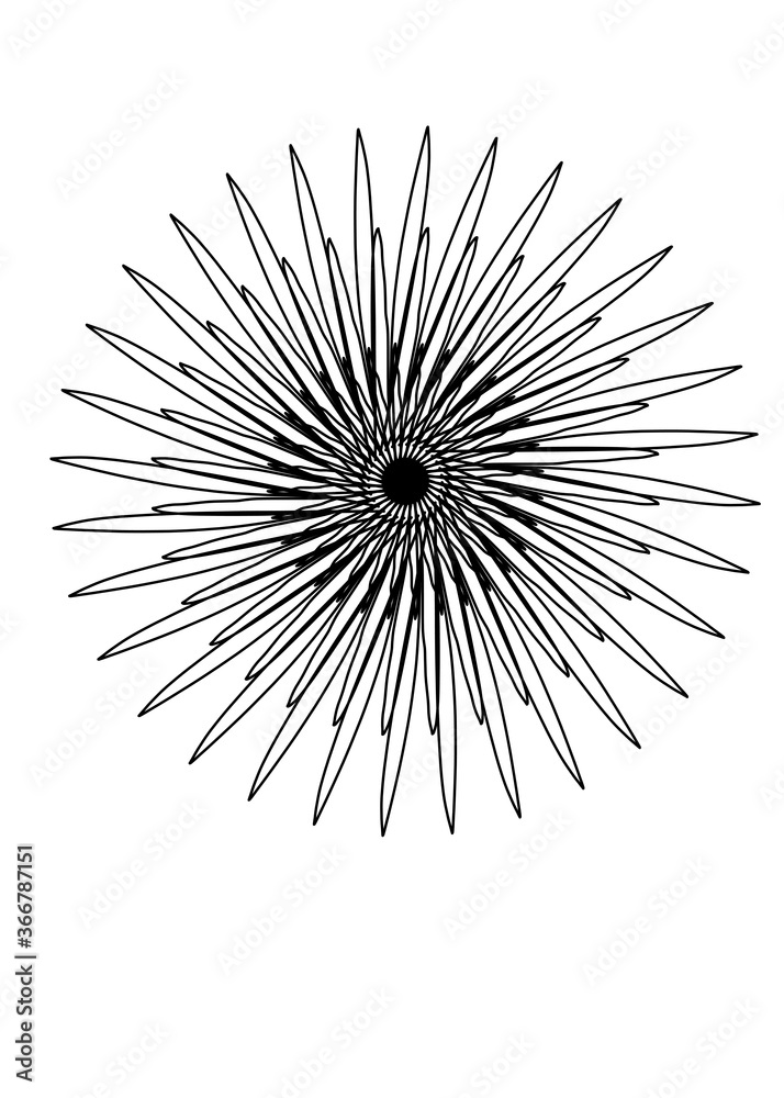 Obraz premium Black lines in the shape of a circle on a white background - Lilleaker 