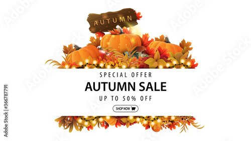 Special offer, autumn sale, up to 50% off, white discount banner with frame of autumn leaves and autumn elements. Layout of a border made of autumn vegetation for web banner
