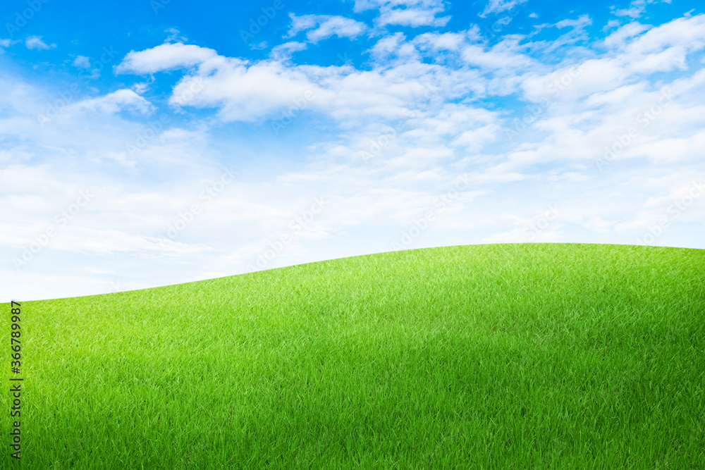 Green grass meadow field with white clouds and blue sky in summer seasonal.