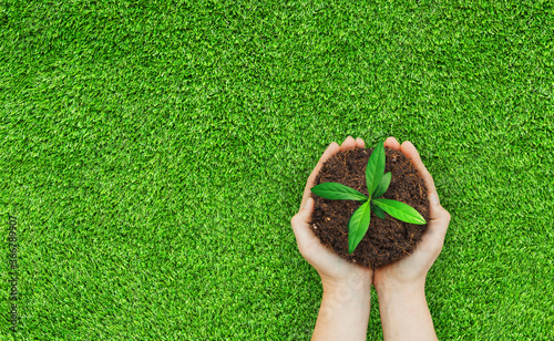 Ecology and Environmental Concept : Hand holding little green sprout tree growth in brown soil.