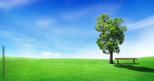 Abstract image of Alone tree on green grass meadow field with blue sky in background.