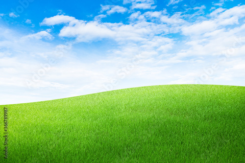 Green grass meadow field with white clouds and blue sky in summer seasonal. © Angkana