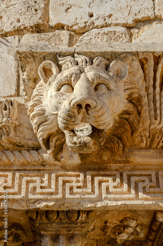 sculpture of the lion head in the temple ruins