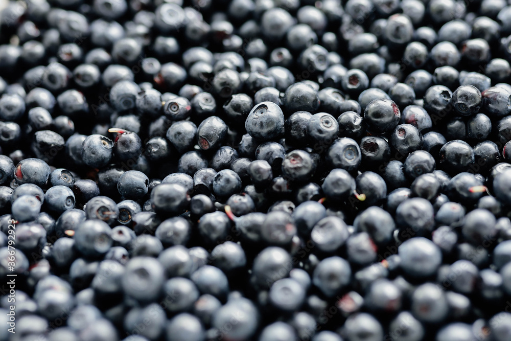 lots of fresh blueberries, texture background berries lots of fresh blueberries, texture background berries