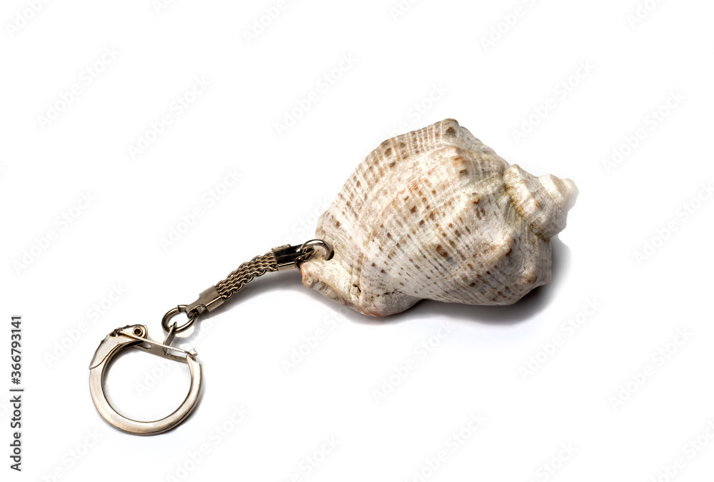 keychain or sea shell decoration on a white background keychain or sea shell decoration on a white background