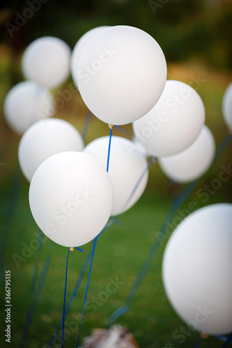 White balloons for the holiday