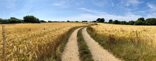 island of sark farmlands