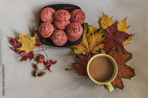 Cup of coffee with cranberry cookies and autumn multicolored maple leaves with acorns . Autumn concept. View from above
