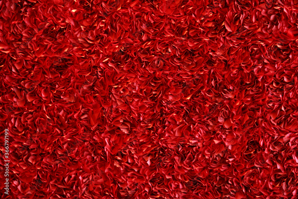 Rose Wall