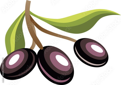 Branch of olives isolated on white background. Color illustration and black. Vector image of olives in cartoon flat style.