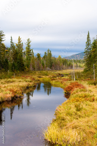 A wetland surrounded by a forest in Adirondack National Park in Upper New York