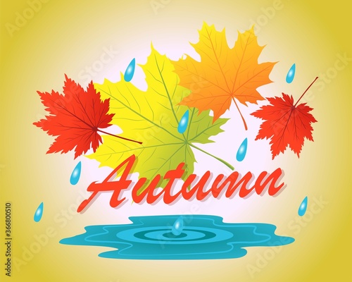 autumn composition with leaves and rain vector illustration