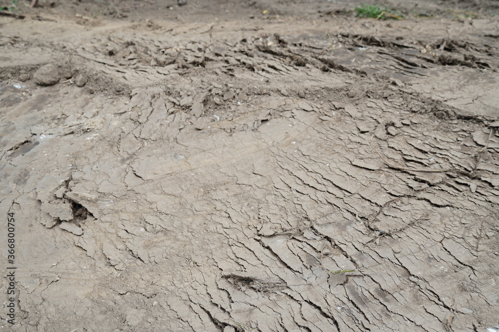 Closed up of dried cracked caked-on mud in vicinity of river with traces of tires of heavy autos. Can be used as background. Photo was taken during summer sunny day. Closed up of dried cracked caked-on mud in vicinity of river with traces of tires of heavy autos. Can be used as background. Photo was taken during summer sunny day.