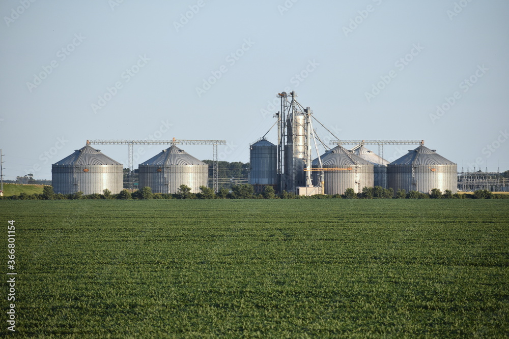 Grain Silos in Eastern North Carolina at Sunset behind Corn Field Grain Silos in Eastern North Carolina at Sunset behind Corn Field